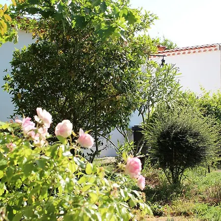 Sao Rafael - Casa de Campo *